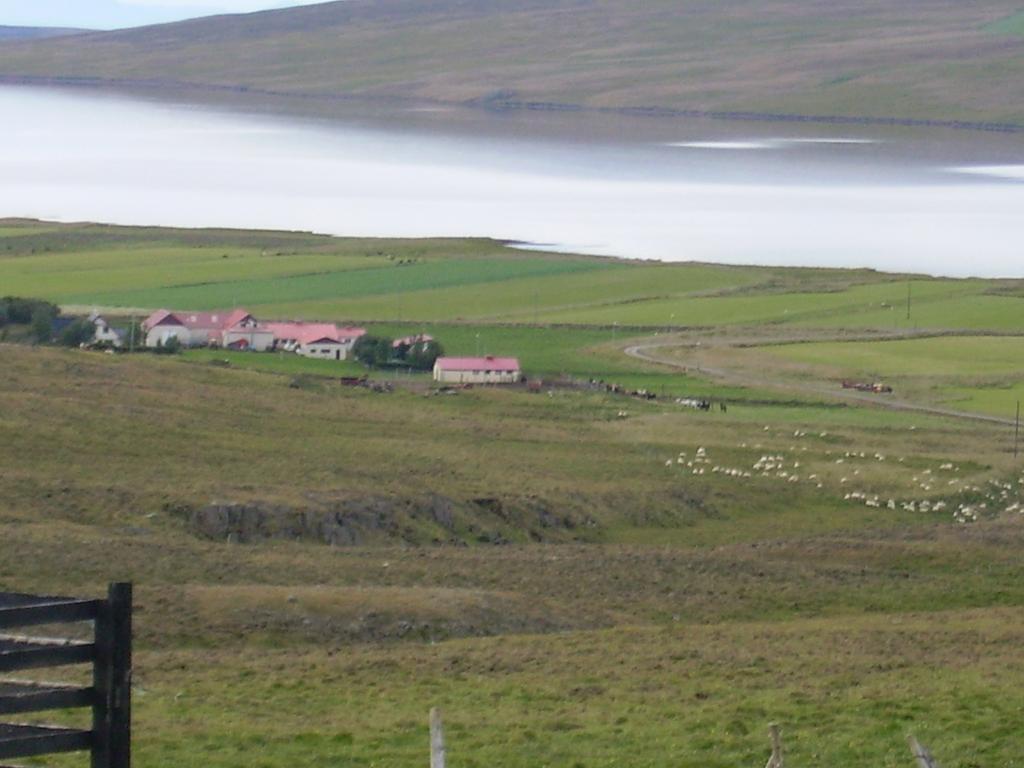 Stekkjardalur Svinavatn
